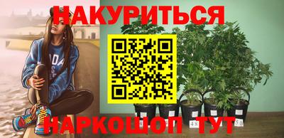 амф Камышлов
